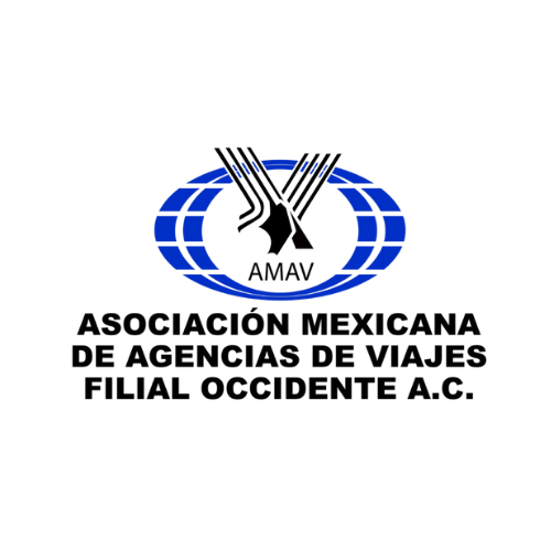 AMAV : -Diseño web
-Hosting
-Credenciales Nfc
-Sistema de contacto Random
-Zona de Miembros
-Localizador de Agencias