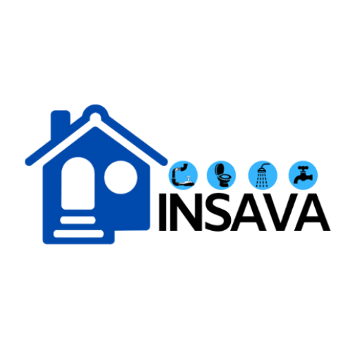 INSAVA : -Diseño web
-Hosting
